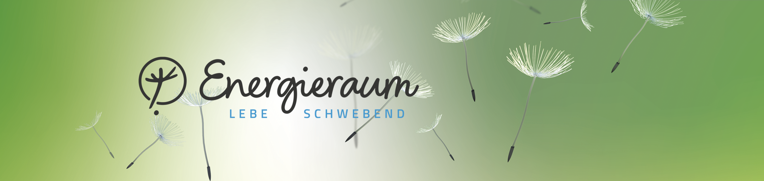 Header Energieraum